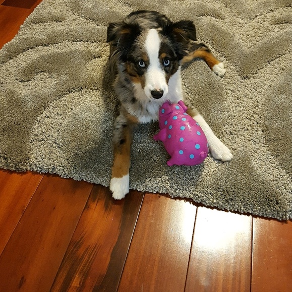 Meet your Posher, Lisa - Picture 1 of 1